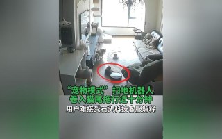 宠物机器人为何内部藏机器人？