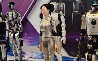 印度人口优势如何助力人工智能发展？