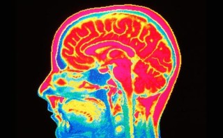 AI是祝福还是诅咒？