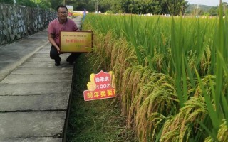 杭州无人机农业公司招什么岗位？