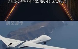 中国119架无人机视频