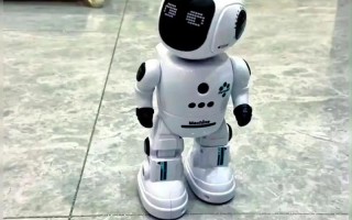 可以跟孩子玩的机器人