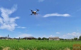 无人机低空遥感如何赋能智慧农业？