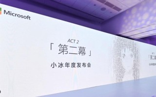 出席人工智能大会小冰