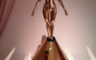 深圳新娘机器人Emma是真是假？