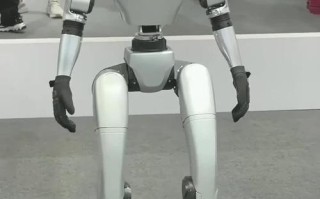 dfrobot 双足 机器人