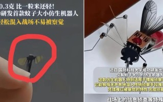 昆虫无人机电影，是科幻还是现实？