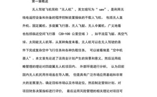 无人机创业计划书论文的核心价值是什么？