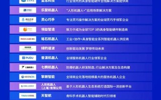 2025国产机器人排名