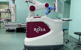 法国 rosa 机器人有何独特功能？