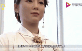 进口机器人佳佳价格是多少？