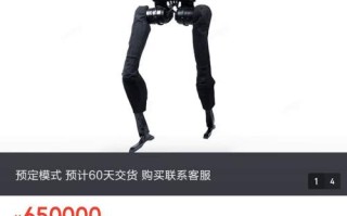 京东满5000送的是什么样的机器人？