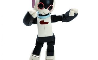 robi洛比机器人是什么？