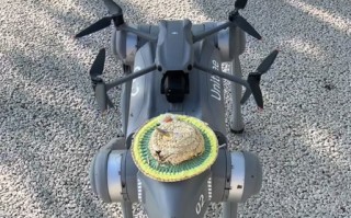 Hobbico无人机怎么样？值得入手吗？