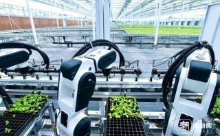 人工智能如何赋能农业智慧升级？