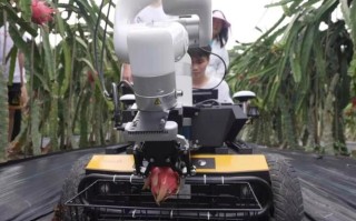 摘果机器人如何实现精准高效采摘？