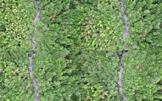 江西哪里能找到无人机航拍服务？