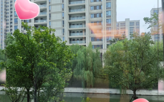 玻擦窗机器人198，好用吗？