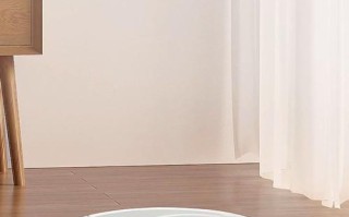 扫地机器人哪个牌子好用？