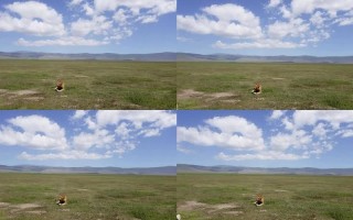 坦桑尼亚旅游，无人机怎么玩才合规又出彩？