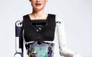 索菲亚成机器人公民，是进步还是风险？