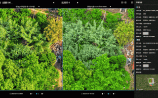 无人机自动巡查有何优势？