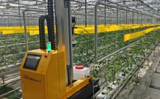 AI如何精准识别各类蔬菜？