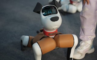 Baby Q机器人真能自己开车吗？