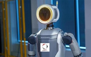 pepper机器人图片