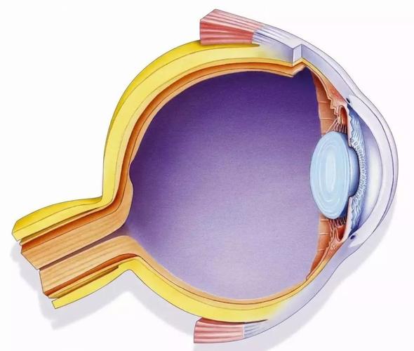 人工智能的检验标准究竟是什么?-第3张图片-广州国自机器人 人工智能的检验标准究竟是什么?-第3张图片-广州国自机器人