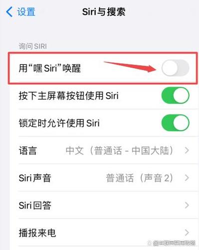 Siri如何开启人工智能功能？-第1张图片-广州国自机器人