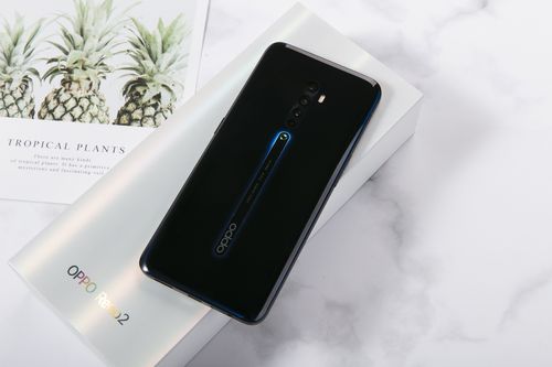 Reno2的AI功能，究竟有哪些实用场景？-第2张图片-广州国自机器人