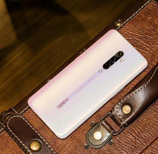 Reno2的AI功能，究竟有哪些实用场景？-第1张图片-广州国自机器人