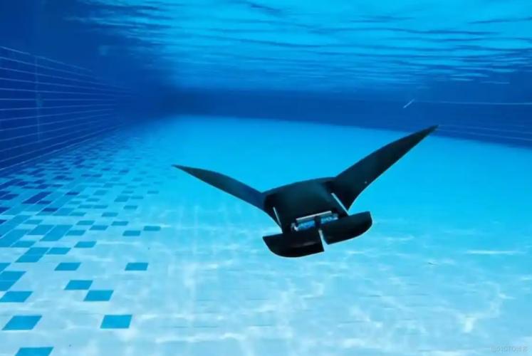 蝠鲼机器人MantaDroid如何实现高效仿生游动?-第1张图片-广州国自机器人 蝠鲼机器人MantaDroid如何实现高效仿生游动?-第1张图片-广州国自机器人