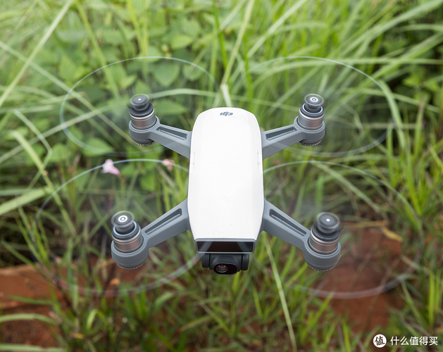 DJI Spark无人机图片怎么拍出好效果？-第2张图片-广州国自机器人