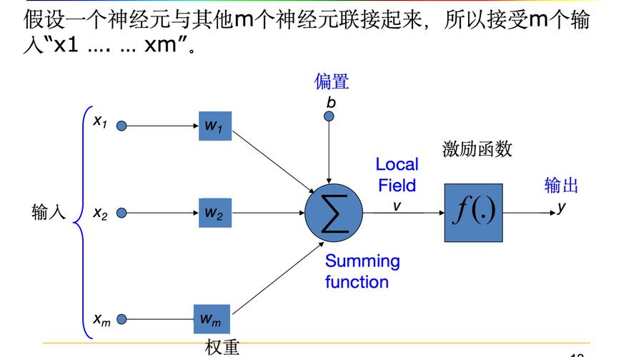 MIT神经网络如何突破AI极限?-第1张图片-广州国自机器人 MIT神经网络如何突破AI极限?-第1张图片-广州国自机器人