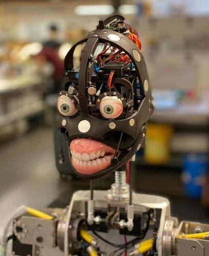 Real Doll智能机器人，情感陪伴还是科技伦理？-第2张图片-广州国自机器人