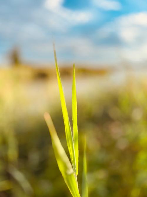 无人机为何叫drone？-第2张图片-广州国自机器人