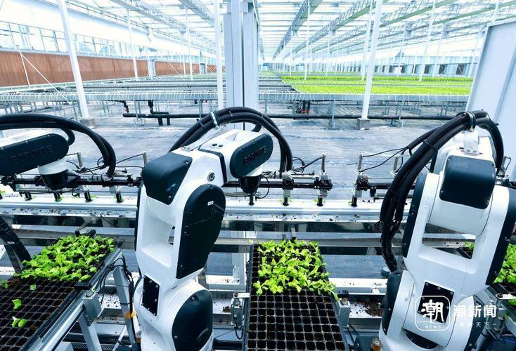 人工智能如何赋能农业智慧升级？-第1张图片-广州国自机器人