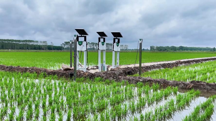 人工智能如何赋能农业智慧升级？-第2张图片-广州国自机器人