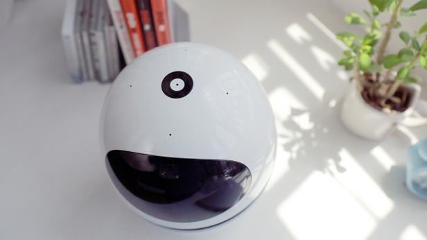 gowild公子小白机器人-第1张图片-广州国自机器人