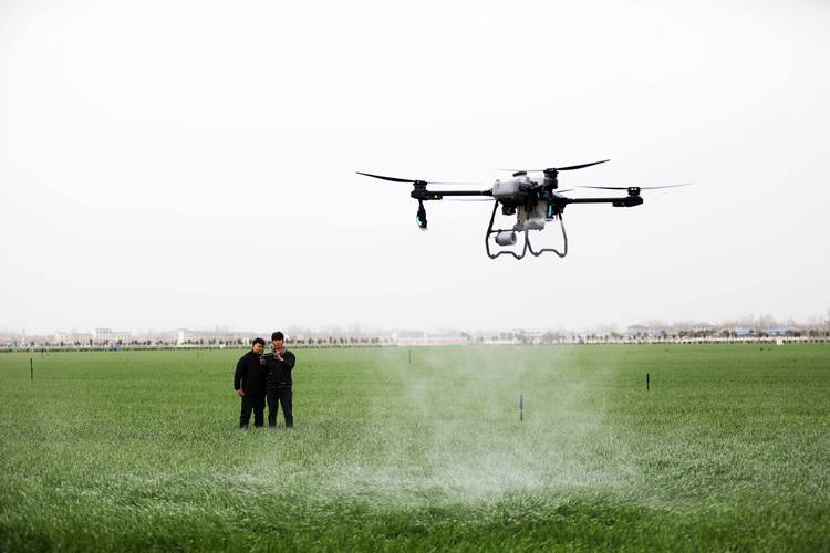 大疆植保无人机喷洒农药-第1张图片-广州国自机器人