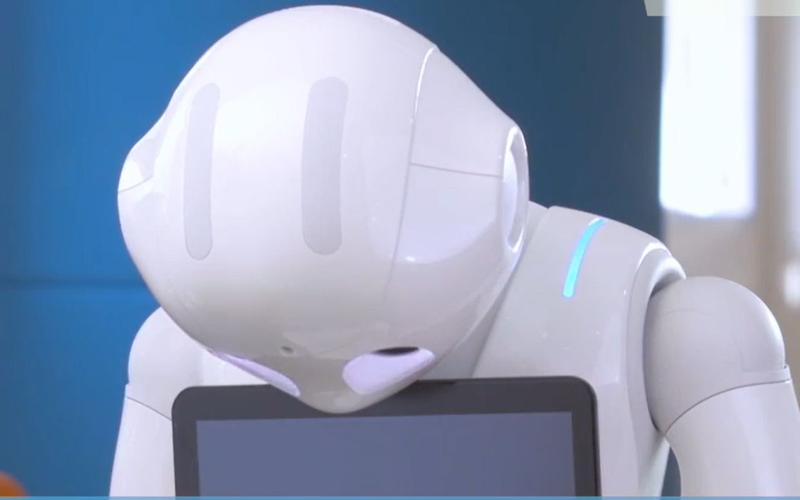 情感机器人pepper能否真正读懂人类情感？-第2张图片-广州国自机器人