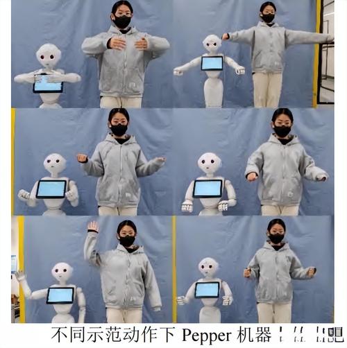 Pepper机器人用什么语言开发？-第1张图片-广州国自机器人