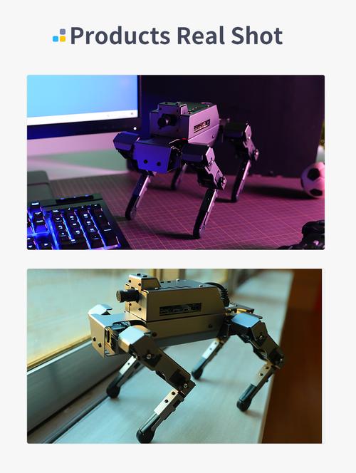 xpider 机器人 众筹-第3张图片-广州国自机器人