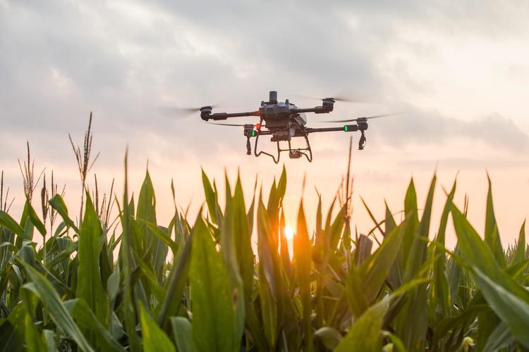 mate8 大疆无人机-第3张图片-广州国自机器人