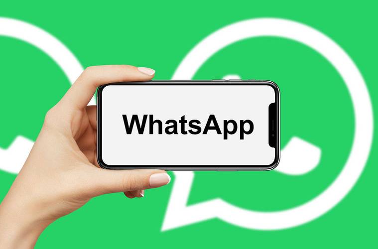 WhatsApp营销机器人如何高效触达用户？-第1张图片-广州国自机器人