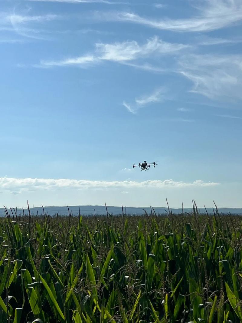 无人机洒农药可以飞到远-第3张图片-广州国自机器人