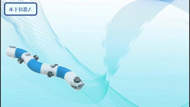 蛇形机器人snakebot-第2张图片-广州国自机器人