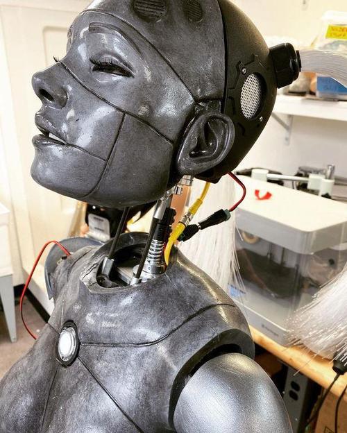 realdoll研发机器人-第1张图片-广州国自机器人